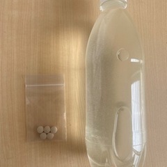ゾウリムシ500ml    【エビオス錠付き】