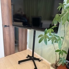 移動式スタンド付き46インチREGZAテレビ