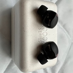 ソニー ワイヤレスノイズキャンセリングイヤホン WF-1000XM5の画像