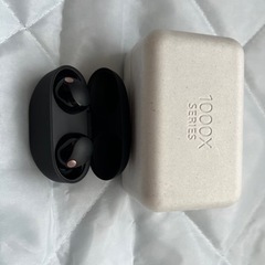 ソニー ワイヤレスノイズキャンセリングイヤホン WF-1000XM5の画像