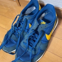 NIKE ナイキ シューズ スニーカー 青 ブルー イエロー  の画像