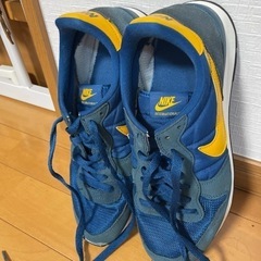 NIKE ナイキ シューズ スニーカー 青 ブルー イエロー  の画像