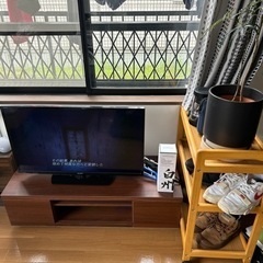 テレビ