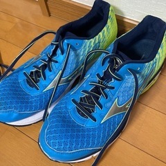 美品 ほぼ未使用品 MIZUNO ランニングシューズ WAVE RIDER 26.5の画像