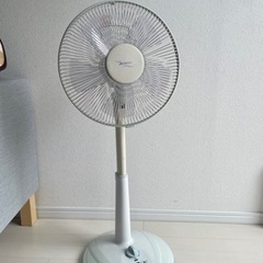 家電 季節、空調家電 扇風機