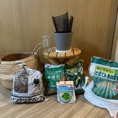 【無料】植物セット
