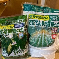 【無料】植物セットの画像
