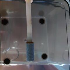 モンスーンソロの画像