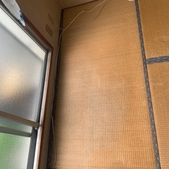 家具 カーペット/マット/ラグの画像