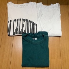 年内処分　レディース　半袖　Tシャツ