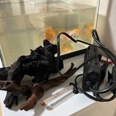 金魚、水槽、台、ポンプ、ライト、ヒーター
の画像