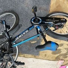 RAISE子供自転車18インチ補助輪なしの画像