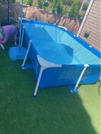 【決定】インテックスプール