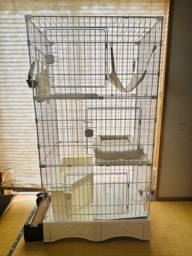 キャットゲージ