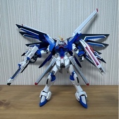 HG ライジングフリーダムガンダム　ガンプラ　19×13×8