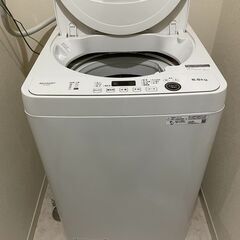 洗濯機【2022購入】