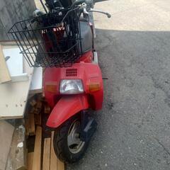 旭川発☆HONDA.スカッシュ!旧車 ミニトレ ポケバイの画像