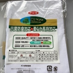 新品！　半ズボン下　L 綿100% 1枚　グンゼ の画像