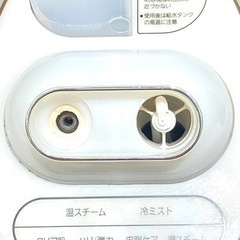Panasonic イオンスチーマーEH-SA50の画像