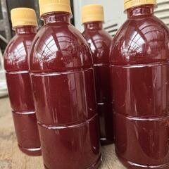 　500ml　4本  光合成細菌　PSB 