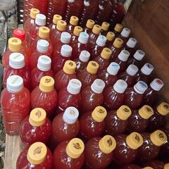 　500ml　4本  光合成細菌　PSB の画像