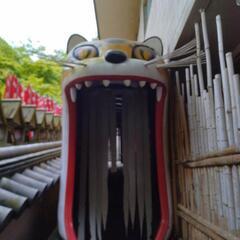 明日お暇な方居ませんか？