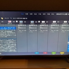 9月限定43インチ4K地デジAndroidTV テレビ