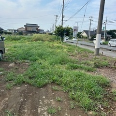 草刈り‼️草むしり‼️除草作業‼️お任せください‼️