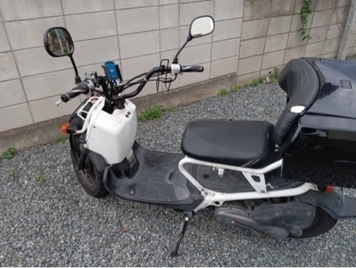 至急【現状車】ホンダ ズ－マ－50cc