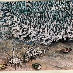 絵画「テープ珊瑚と、貝たち」