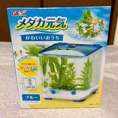 メダカ・ベタ用水槽キット