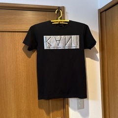 Karl Kani(カールカナイ）ブラック×シルバー　シャイニン...