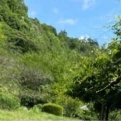 植木屋8月末 開業予定 新規のお客様割
