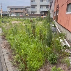 草刈りお願いします🙇