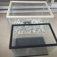 水槽2個の画像