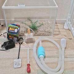 【受付停止中】ザリガニ・小型魚などの飼育セット