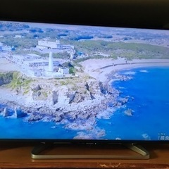 【お引取り決まりました】の画像