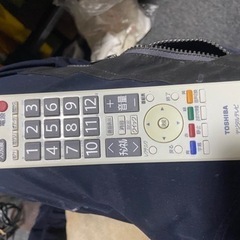 REGZA19の画像