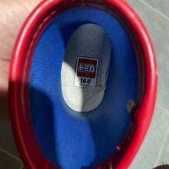 16cm、17cmの画像