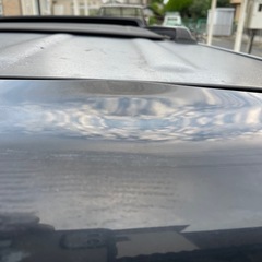 希少　キャンパストップ　の画像
