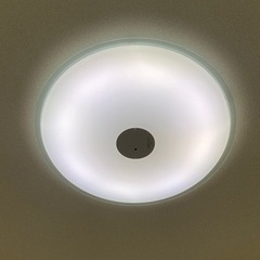 【決まりました】LED照明　アイリスオーヤマその他　2セット
