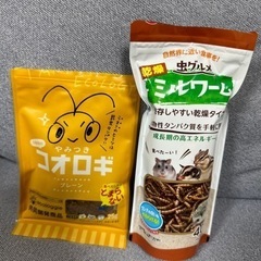 小動物餌