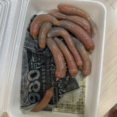 ユムシ　釣り餌