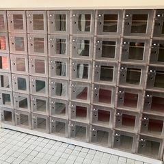 シューズロッカー24