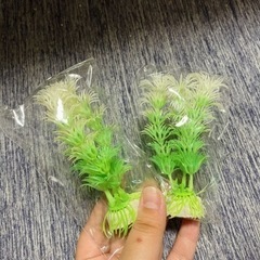 置物