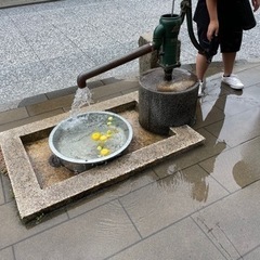 児童指導員土曜日出勤可能な方の画像
