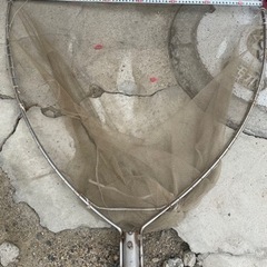 タモ　　　柄セットの画像