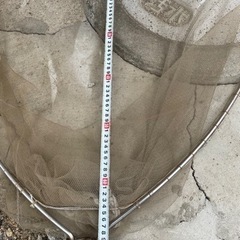 タモ　　　柄セットの画像