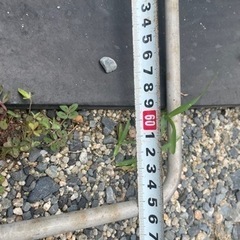 網の枠と柄の画像