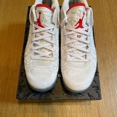 最終値下げ【ネット決済 配送可】バッシュ 28cm NIKE Z...